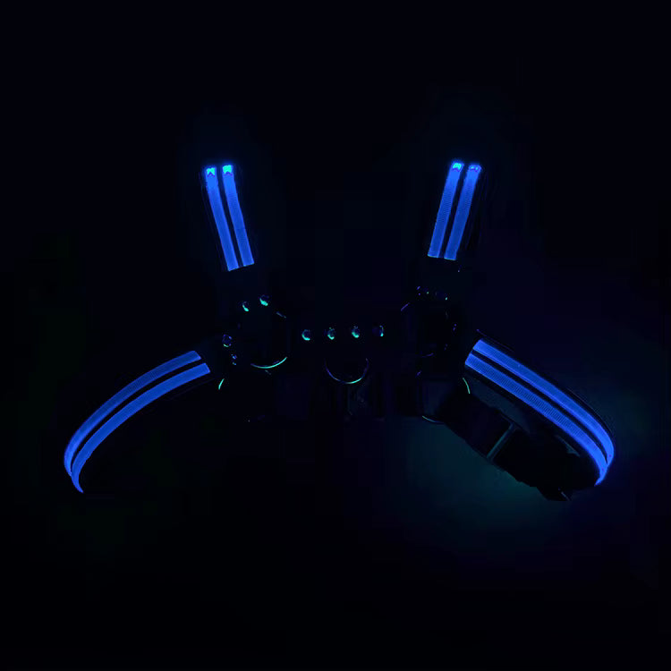 Halo Harness