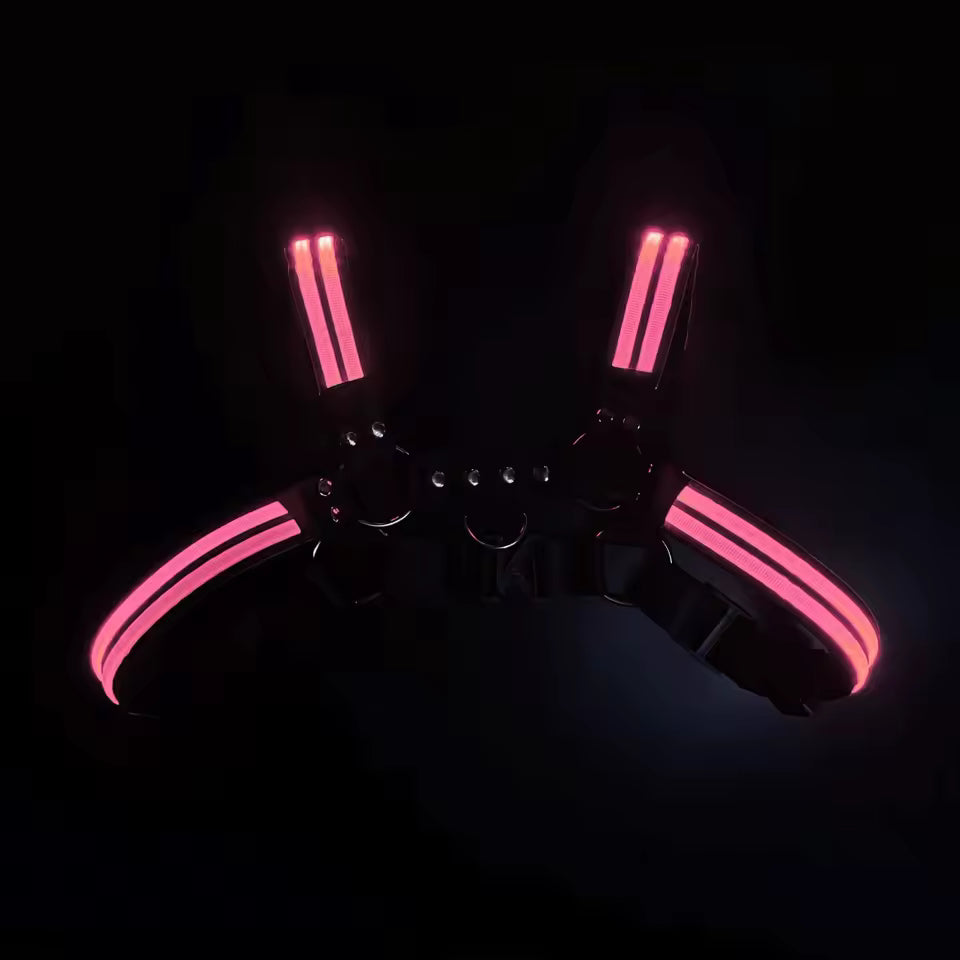 Halo Harness