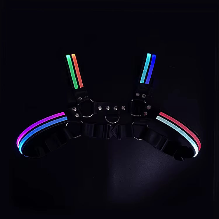 Halo Harness
