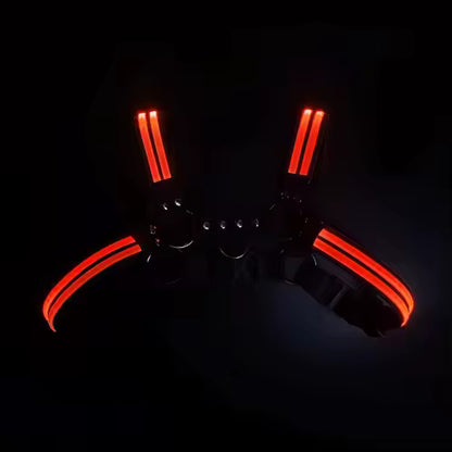 Halo Harness