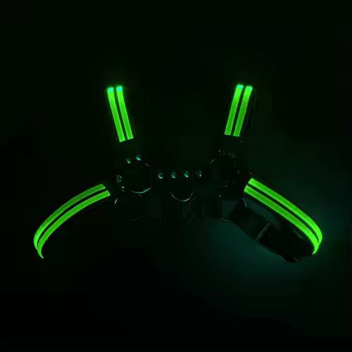 Halo Harness